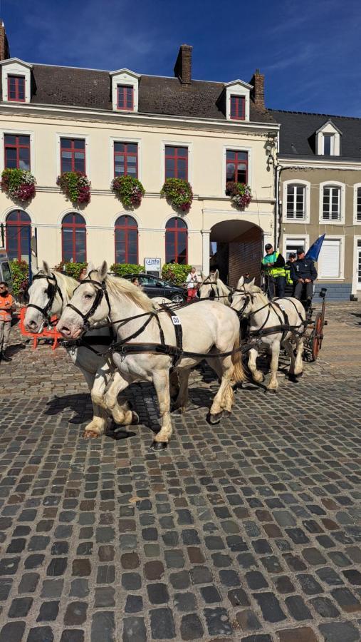 Gîte La Grange 8personnes au sein d'un élevage de Chevaux Brucquedal Extérieur photo
